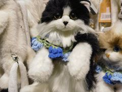 -番茄口袋(上海普陀区环球港店)