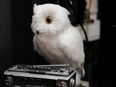 -567·密室逃脱(大良店)