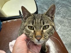 -盱眙虾神於氏龙虾(夫子庙红街店)