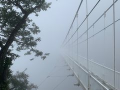 -塔云山