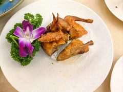 石岐乳鸽-轩记海鲜餐厅·四十五年老字号·经典粤菜(西区彩虹店)