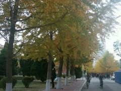 -辽宁大学(崇山校区)