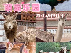 -海合安天津极地海洋公园