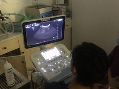 -爱诺耐芙动物医院(万博店)