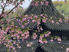 -西园戒幢律寺