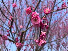 -花开海上生态园