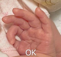 点击看大图 -baby bella小贝拉母婴护理中心(珠海希尔顿店)