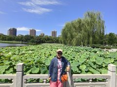 -莲花池公园