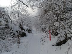 -九峰山