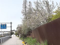 -白塔公园-儿童游乐园