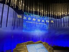 -鄂尔多斯博物馆