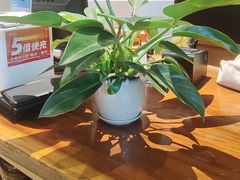 -久宴·天目湖大鱼头(恐龙园店)
