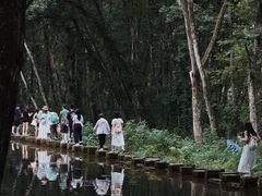 -西溪南古村落