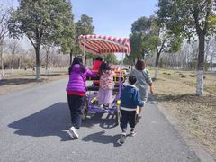 -南湖湿地公园