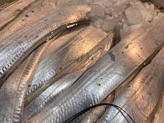 -浦商菜市场·锦德店