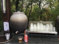 免费姜茶，收费可乐-天目湖涵田半山温泉