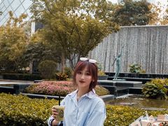 -油梨树AVOCADO TREE(嘉里中心店)