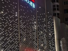 -阿五黄河大鲤鱼(英协路店)