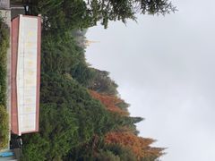 -井冈山革命烈士陵园
