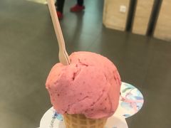 -野人先生现做冰淇淋(西安赛格店)