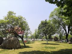 -祥源·阜阳生态乐园