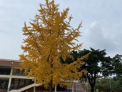 -四川大学(望江校区)