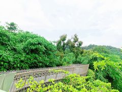 -福道