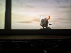 -天幕新彩云国际影城(激光巨幕店)