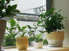 -东俞·韩式料理(院东街店)