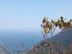 -鹿嘴山庄