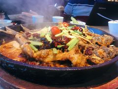 -老板恋上鱼(恒隆广场店)