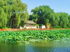 -三忘湖 SWANSEEN(柳荫公园店)