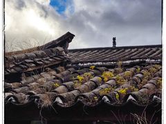 -田德能咖啡博物馆