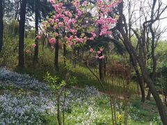 -贮水山儿童公园