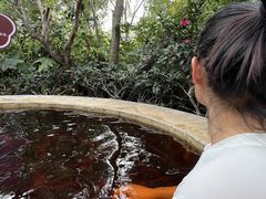 -大理地热国