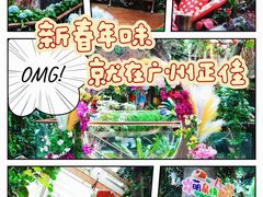 -正佳雨林生态植物园