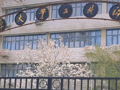 -桃花堤公园