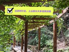 -大岭沟猕猴桃谷风景区