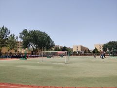 -山东省青岛第六十二中学