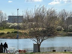 -万柳高尔夫俱乐部