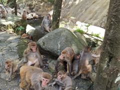 -姑婆山旅游区