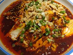 口水鸡-雲蜀龙阁·金牌水煮鱼(方庄店)