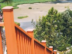 -泸沽湖国家级风景名胜区走婚桥