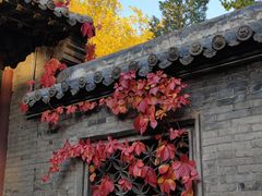 -晋祠公园