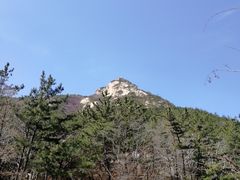 -无染寺