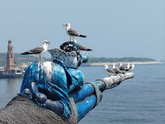 -大连老虎滩海洋公园
