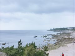 -海岛日记(养马岛店)