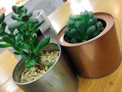 -Green Option(官舍店)