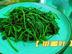 -水磨农庄