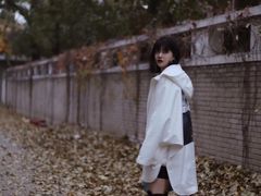 -三里屯东五街银杏大道
